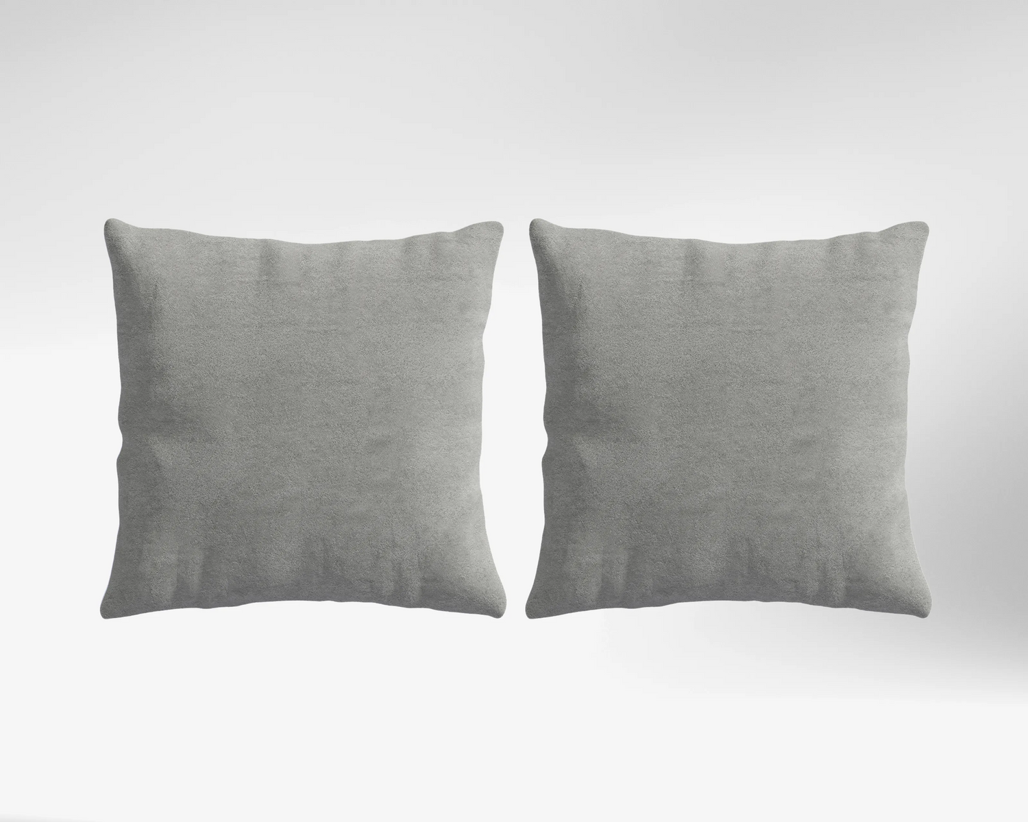 Platinum Grey / 1 Coussin