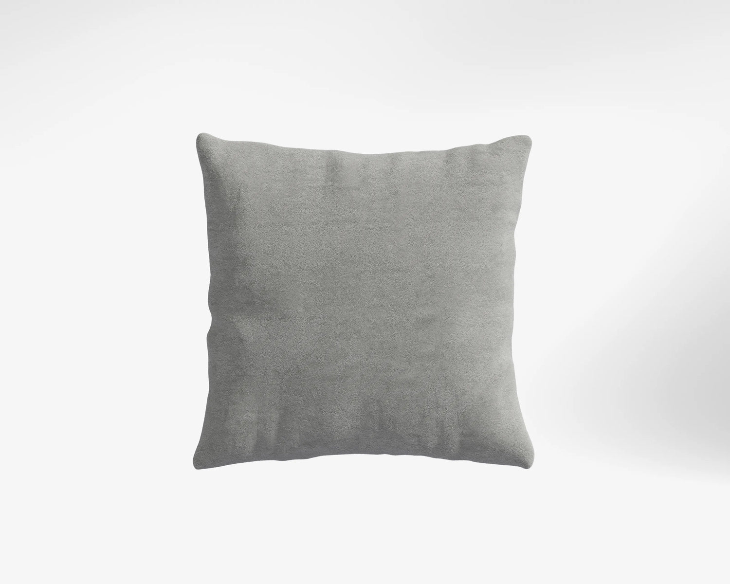 Platinum Grey / 1 Coussin